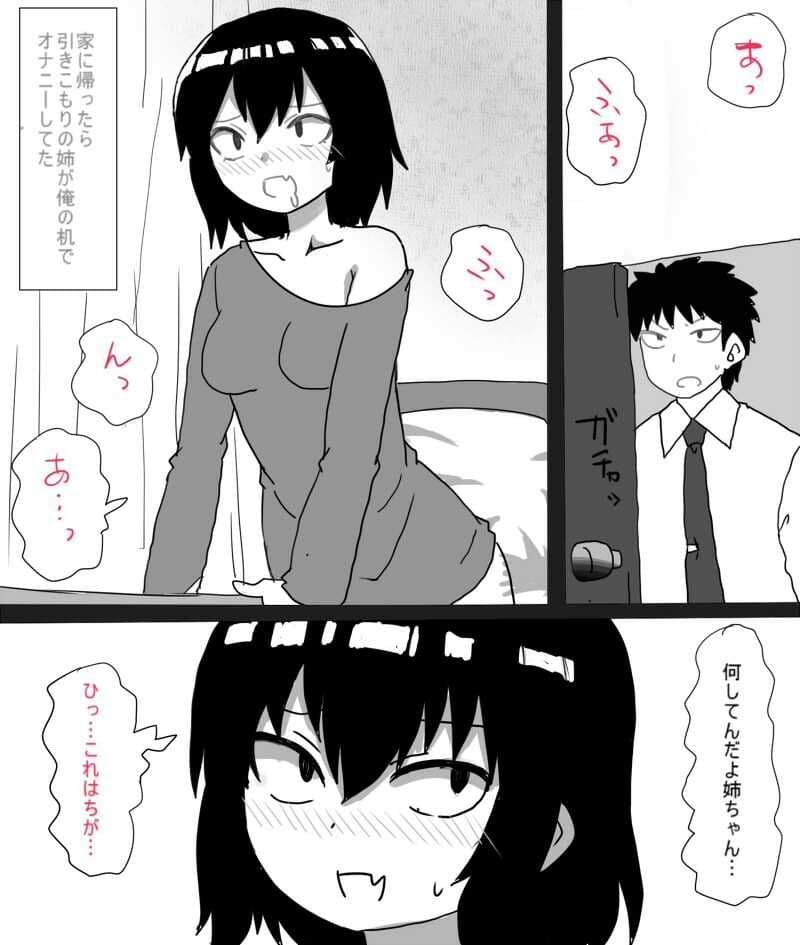 ムラムラした引きこもりの姉は弟で性欲処理をする サンプル画像 1