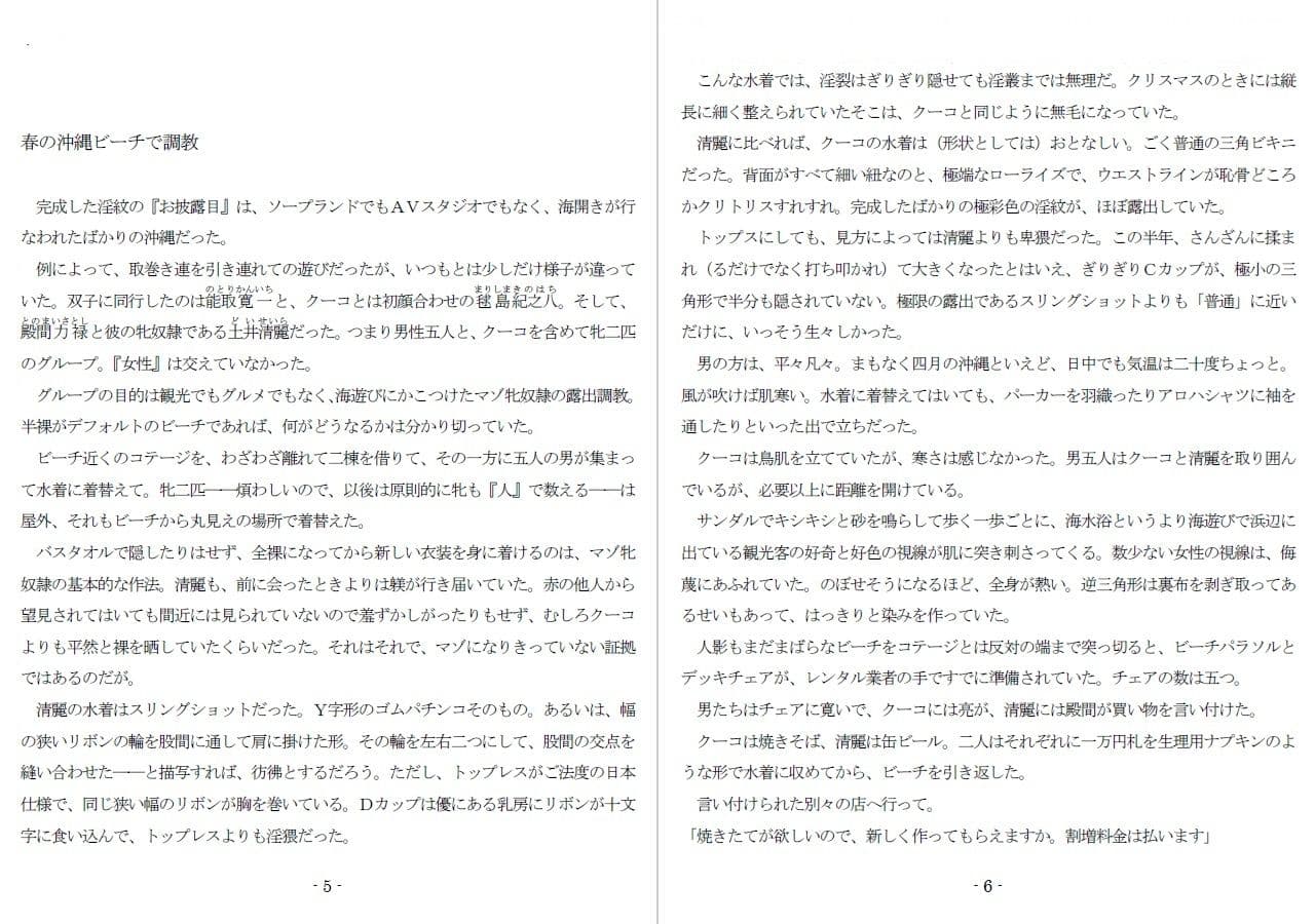 800万円のDVR:3惨虐搾取編 サンプル画像 1