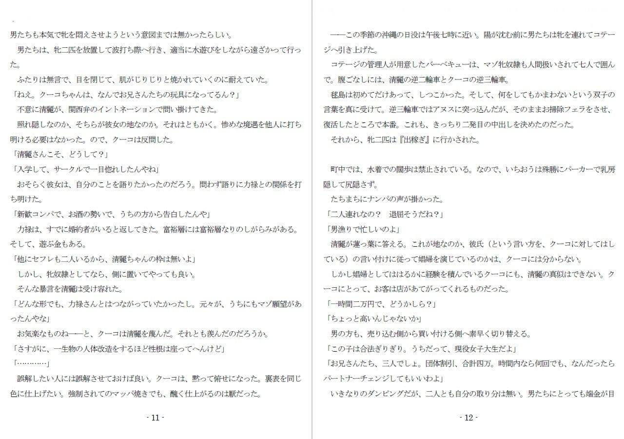 800万円のDVR:3惨虐搾取編 サンプル画像 4