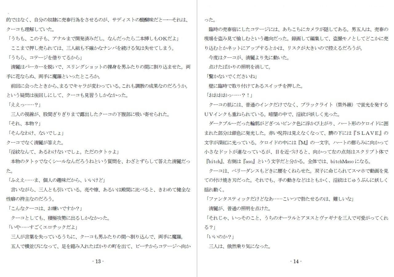 800万円のDVR:3惨虐搾取編 サンプル画像 5