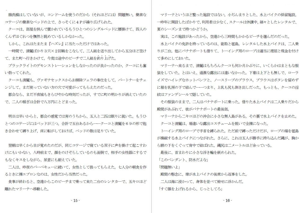 800万円のDVR:3惨虐搾取編 サンプル画像 6