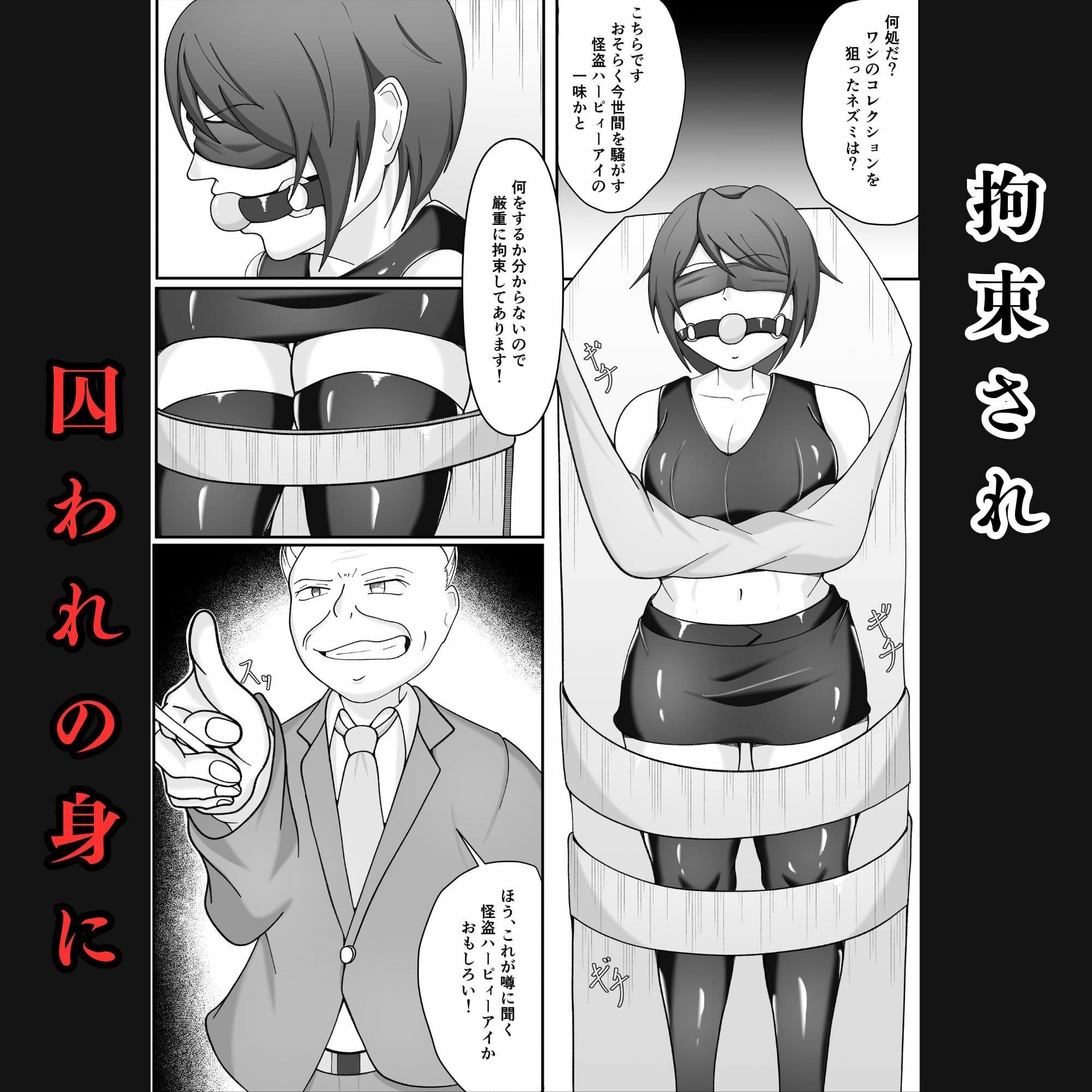 囚われの女怪盗〜侵入に失敗し拘束調教され闇オークションに堕ちる サンプル画像 5