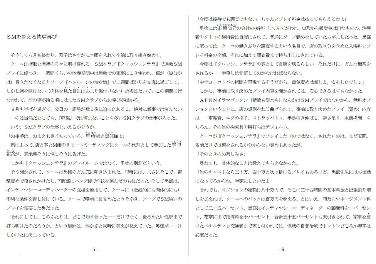 800万円のDVR:4弄虐処分編 サンプル画像 2