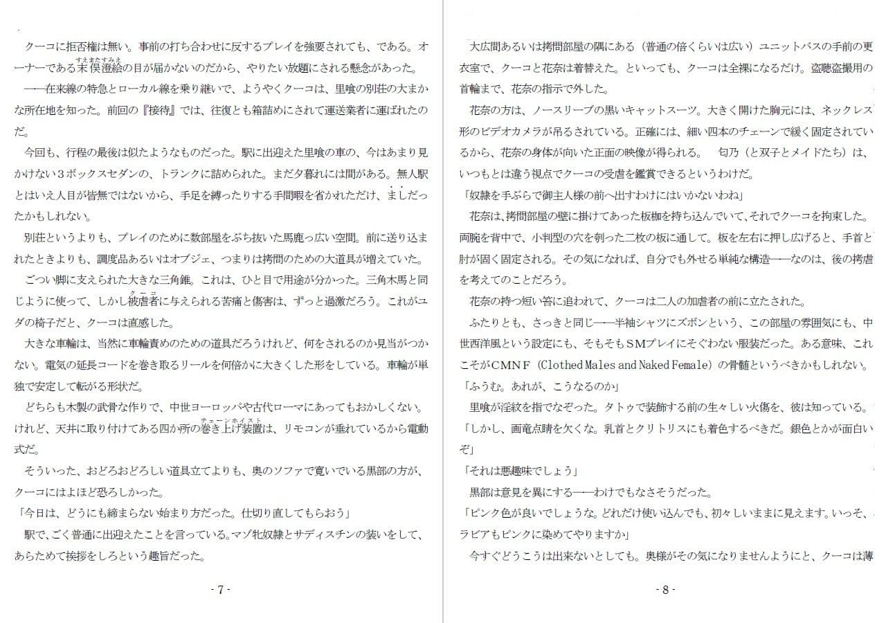 800万円のDVR:4弄虐処分編 サンプル画像 3