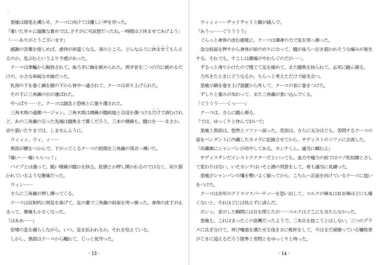 800万円のDVR:4弄虐処分編 サンプル画像 6