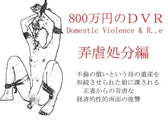 800万円のDVR:4弄虐処分編