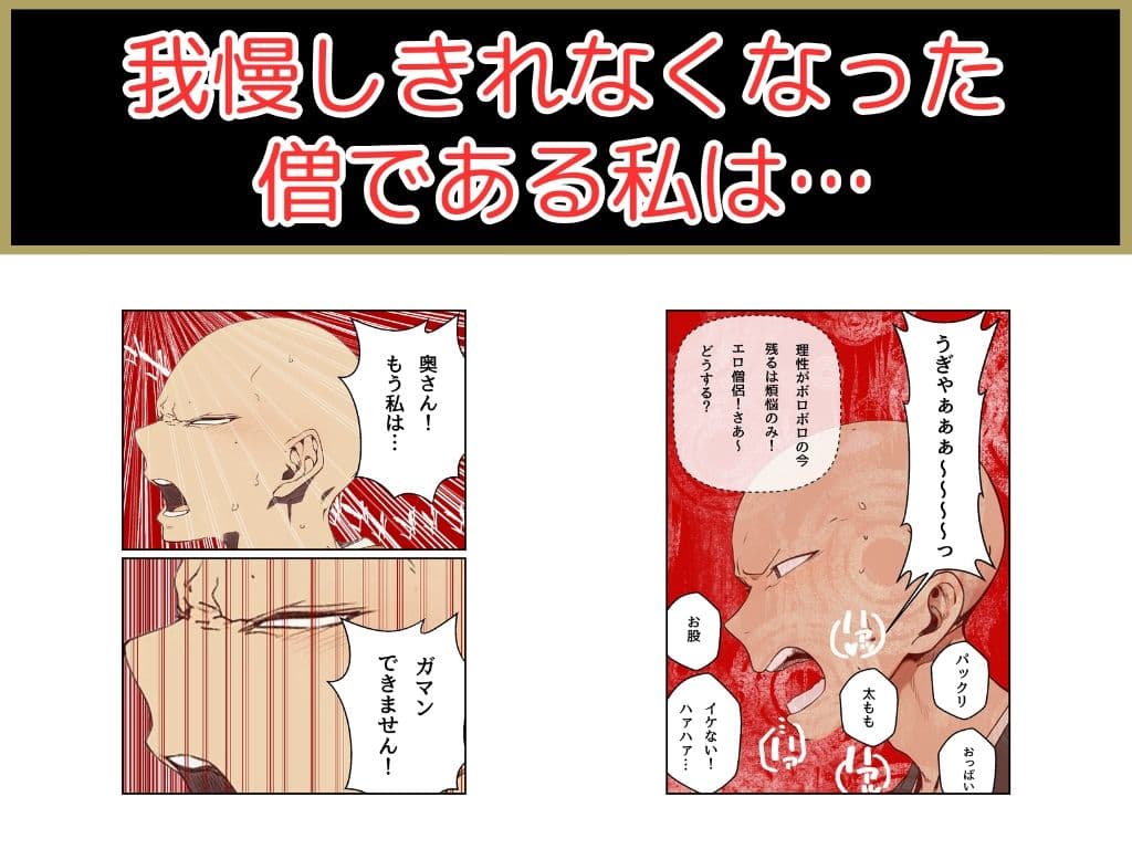 僧です！困ります！奥さん！ サンプル画像 6