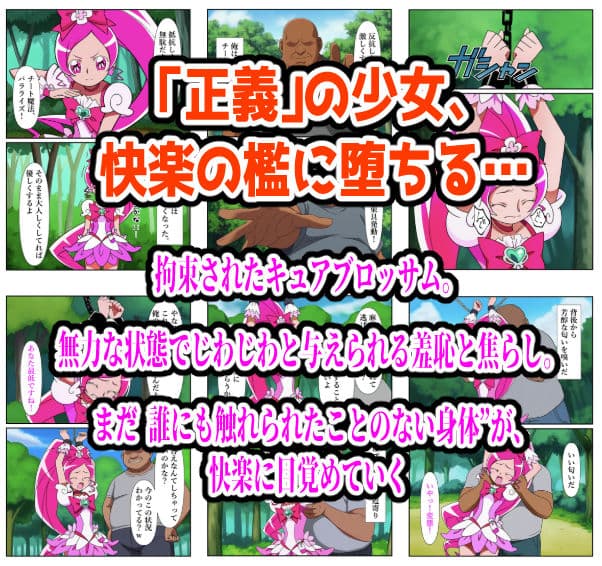 プリキュア同人 キュアブロッサム拘束×種付け調教 サンプル画像 1