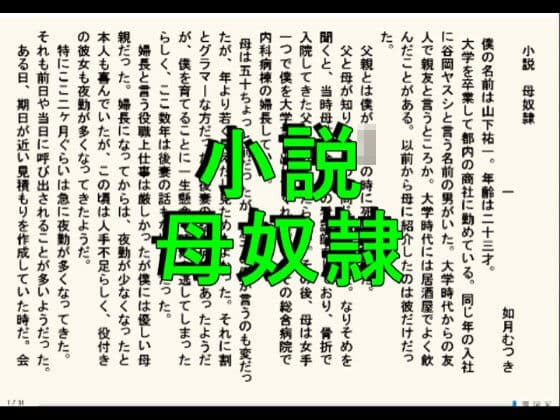 小説版  母奴●