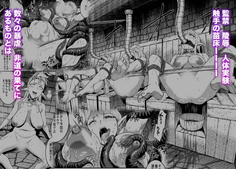 ELVEN BIRTH サンプル画像 3