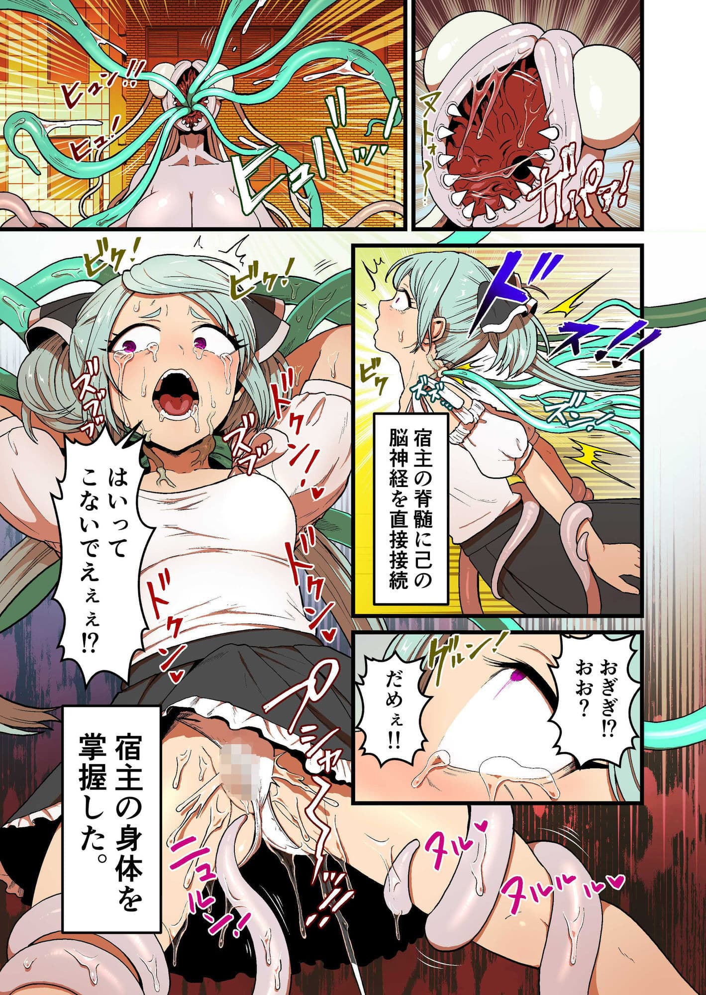 寄星蟲 サンプル画像 3