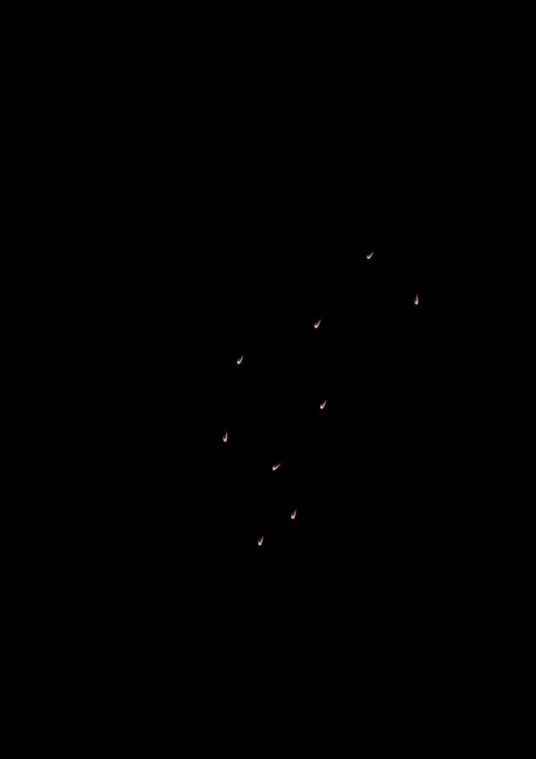 東方妖女淫靡譚 - 7ページ