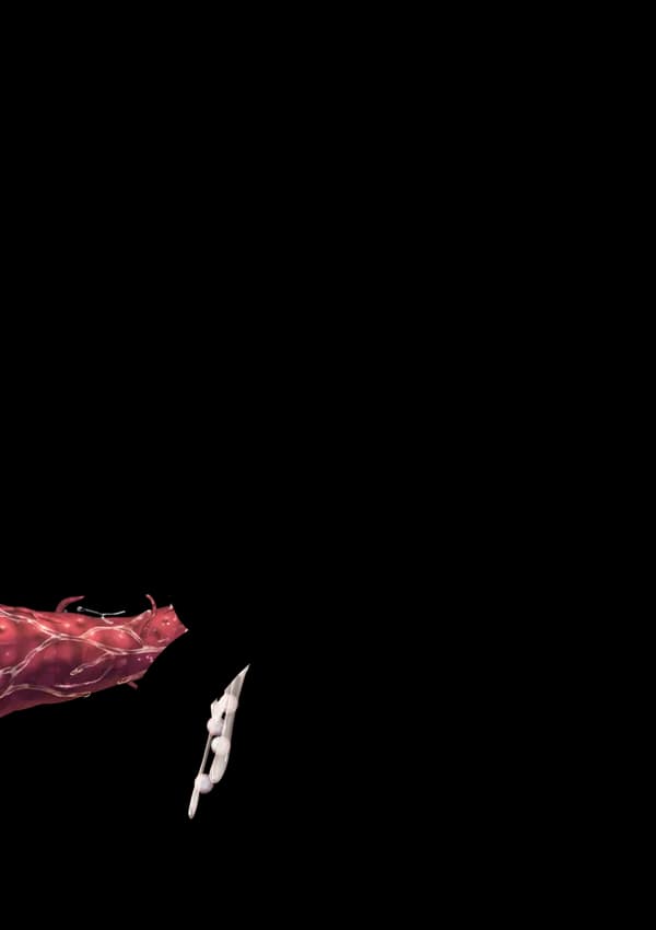 東方妖女淫靡譚 - 17ページ