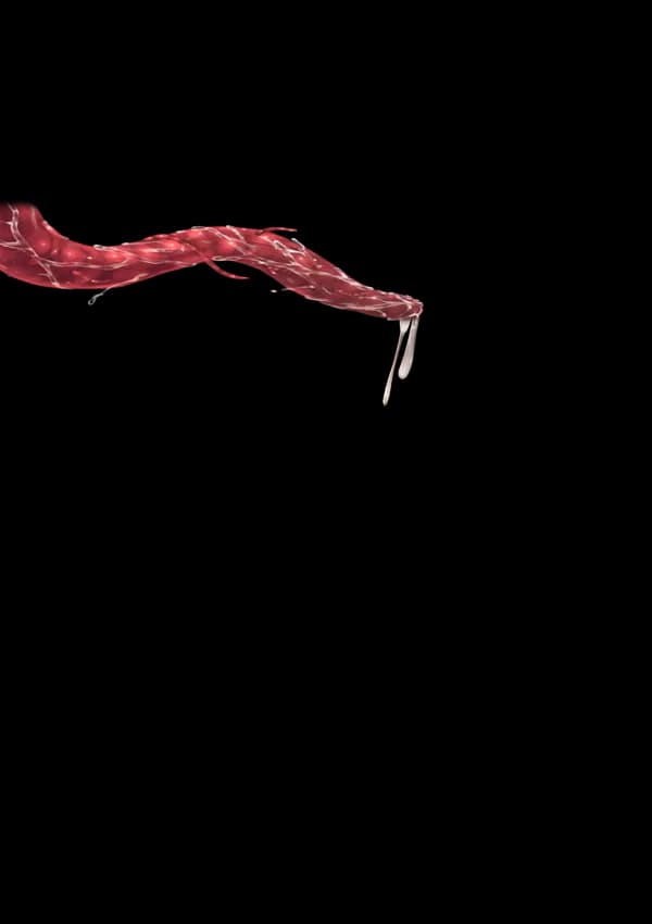 東方妖女淫靡譚 - 18ページ