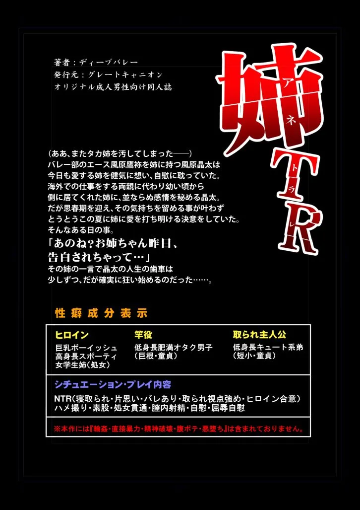 姉TRアネトラレ〜僕の大好きなお姉ちゃんがアイツに奪われた話〜DL増量版 - 17ページ