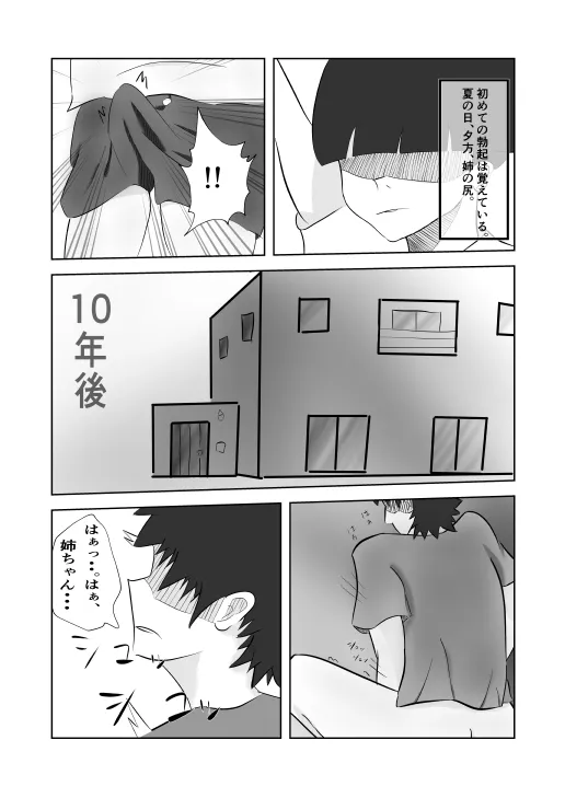 姉ちゃんはAV 女優 - 2ページ