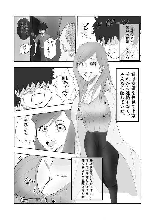 姉ちゃんはAV 女優 - 3ページ