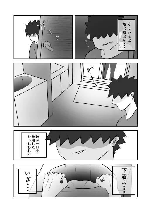 姉ちゃんはAV 女優 - 9ページ