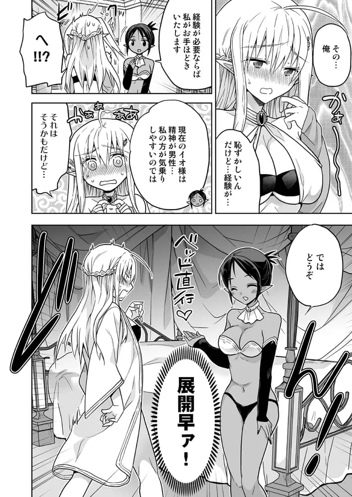 TS転生エルフ姫の子作りクエスト - 13ページ