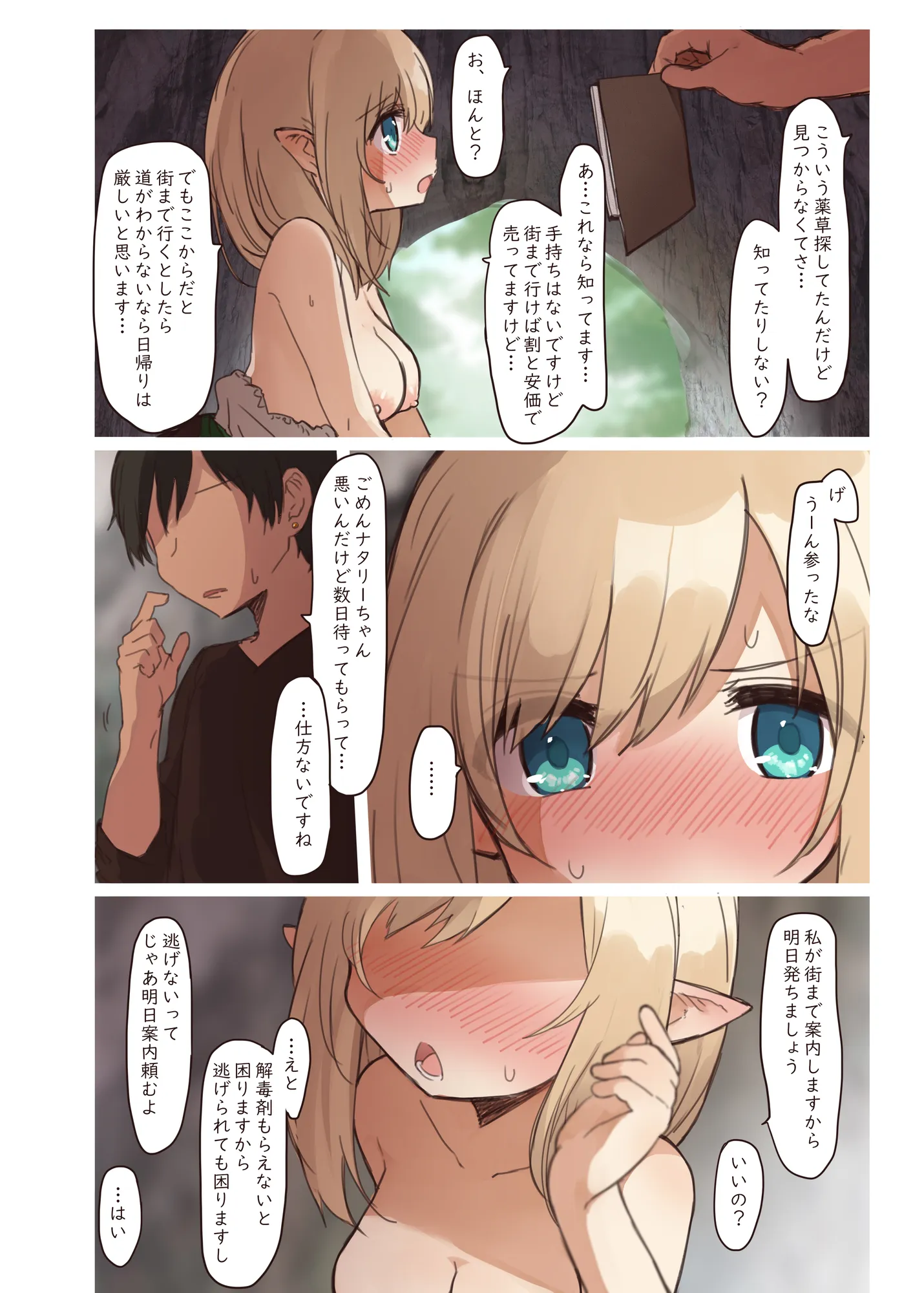 エルフの住む森。シリーズ 総集編 - 28ページ