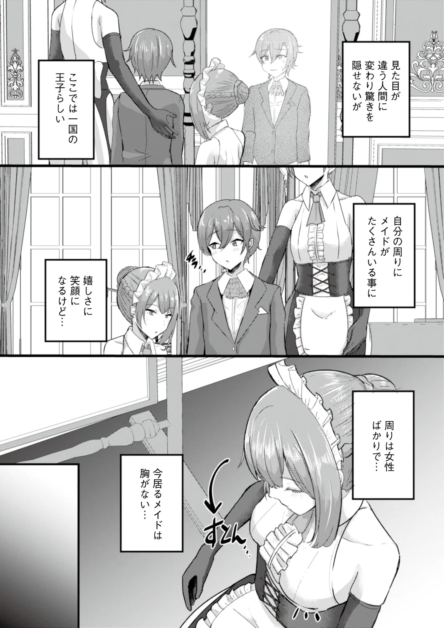 貧乳ユートピアの隠れ巨乳〜巨乳好きな男が転生したのは貧乳しかいない国〜 - 12ページ