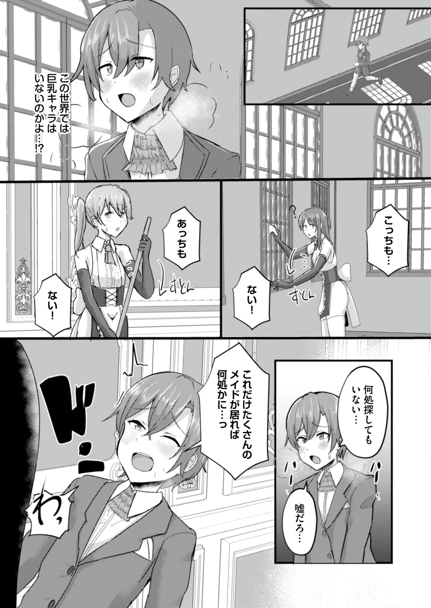 貧乳ユートピアの隠れ巨乳〜巨乳好きな男が転生したのは貧乳しかいない国〜 - 13ページ