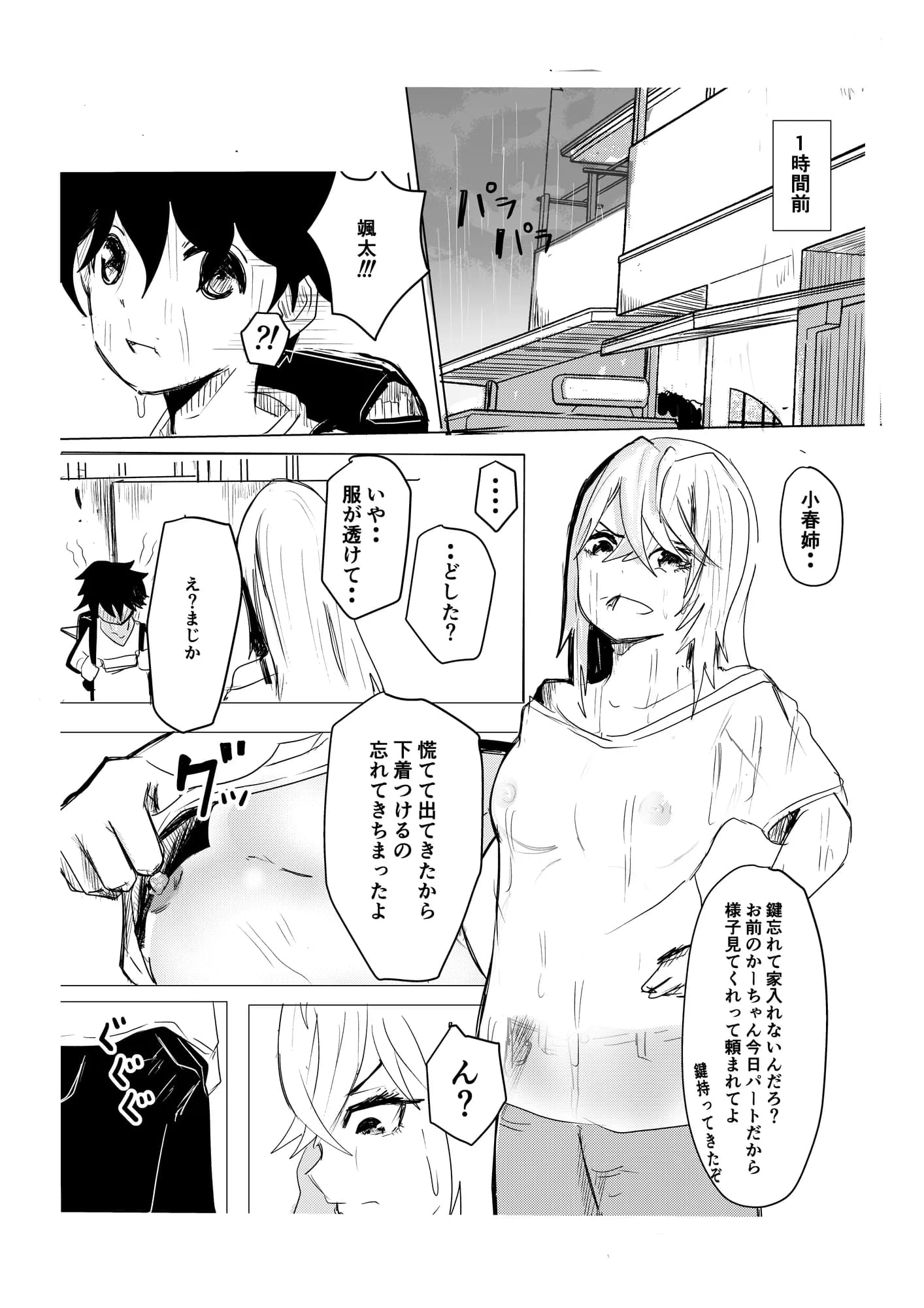 お姉ちゃんは僕のもの - 5ページ