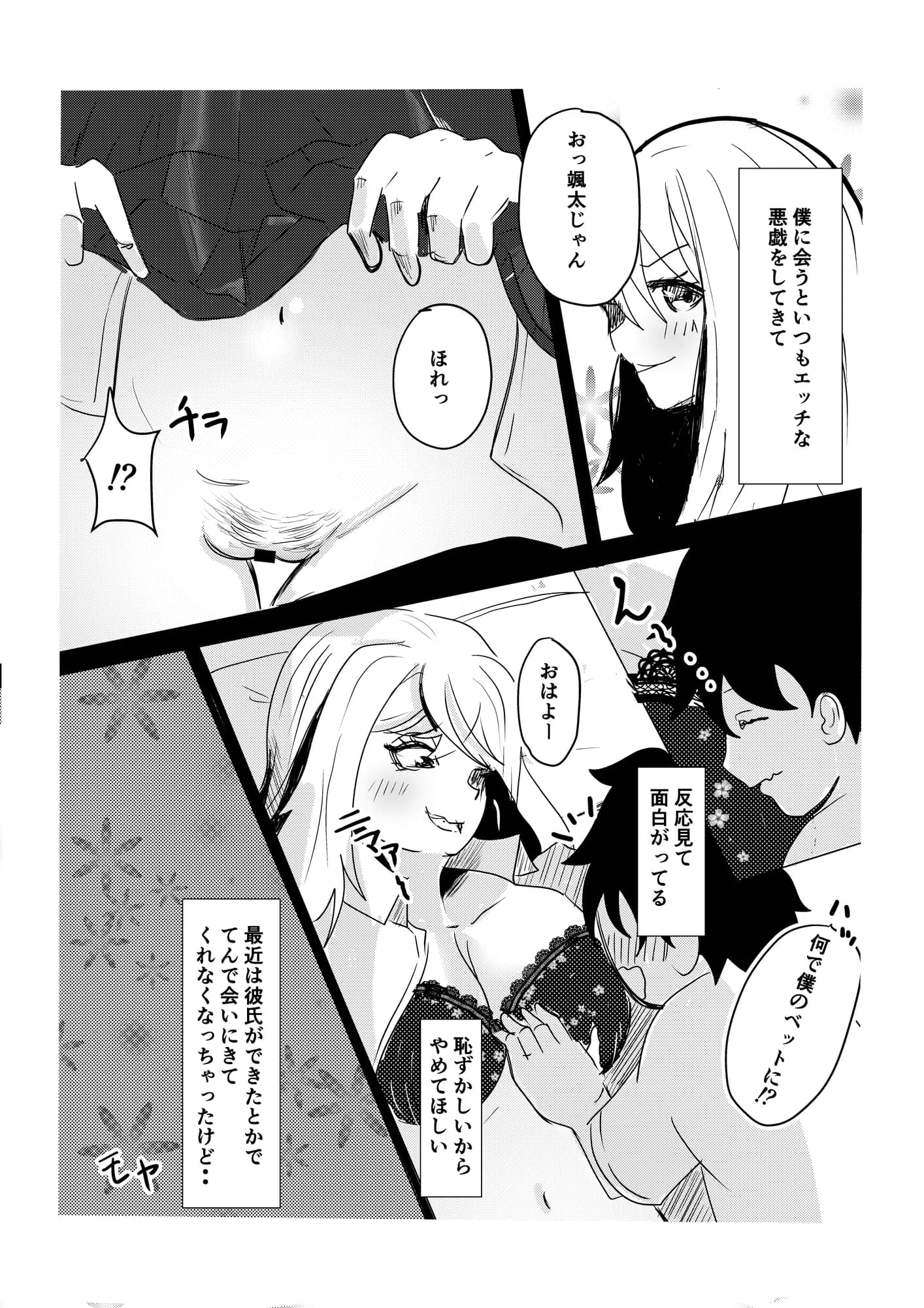 お姉ちゃんは僕のもの - 7ページ