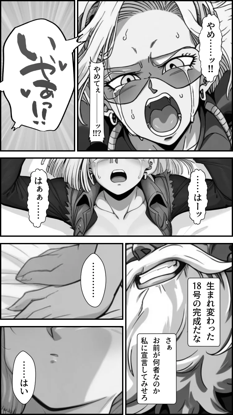 心奪-洗脳！！人造人間18号- - 17ページ