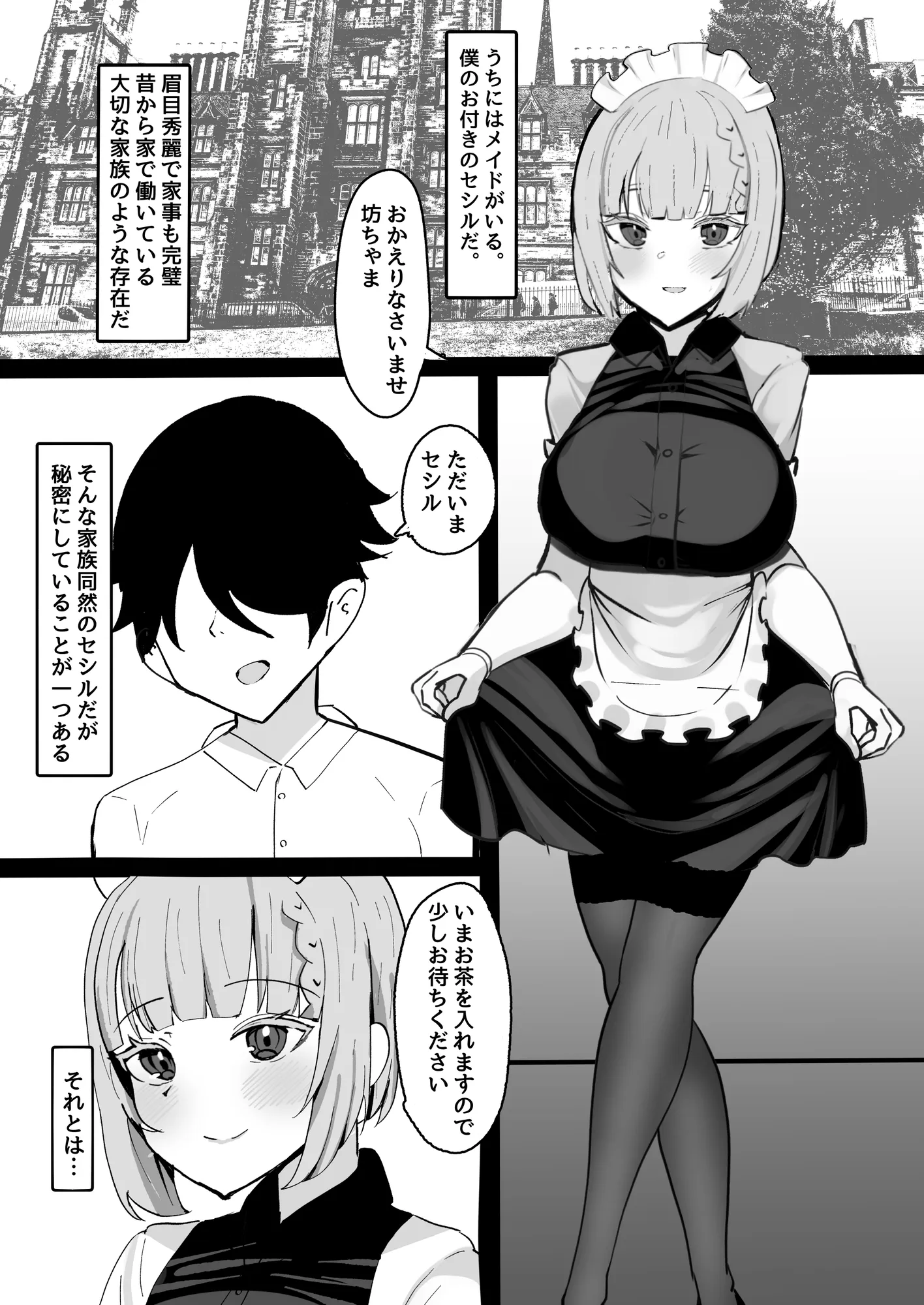 家族同然のメイドの睡●中にえっちな悪戯しまくる本 - 2ページ