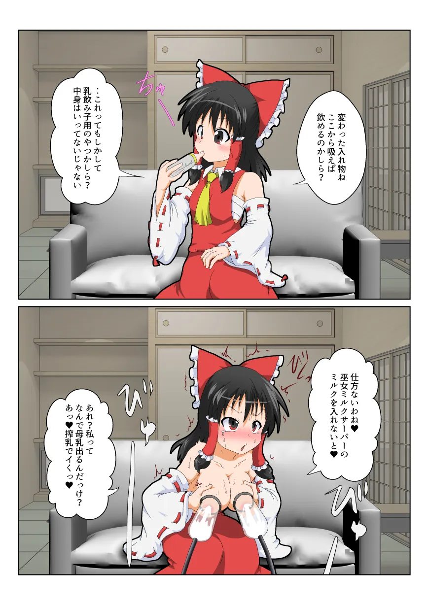 博麗霊夢で不思議なおもちゃで特殊性癖カタログ - 13ページ