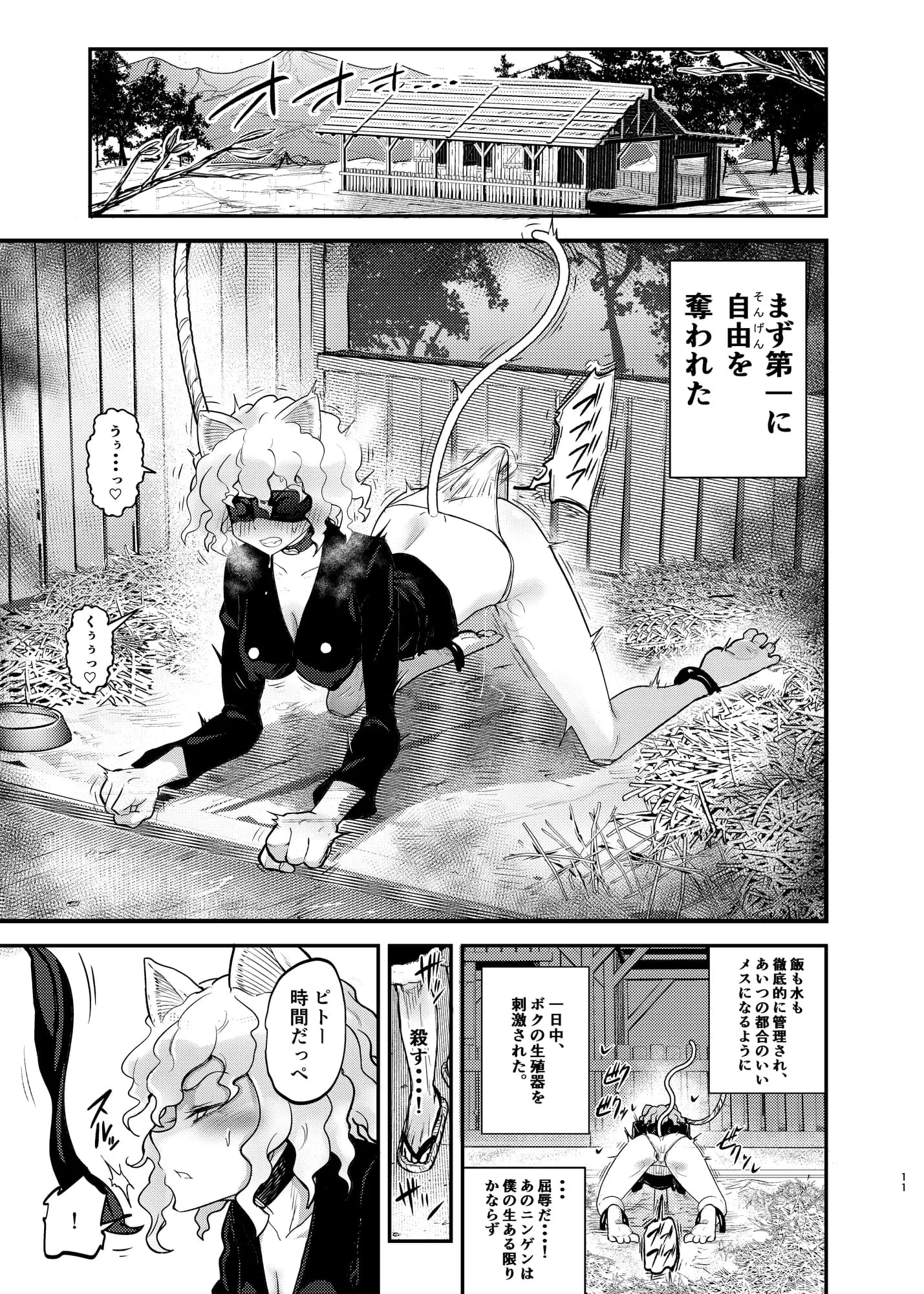 調教師  操作系なんてボク知らない！ - 11ページ