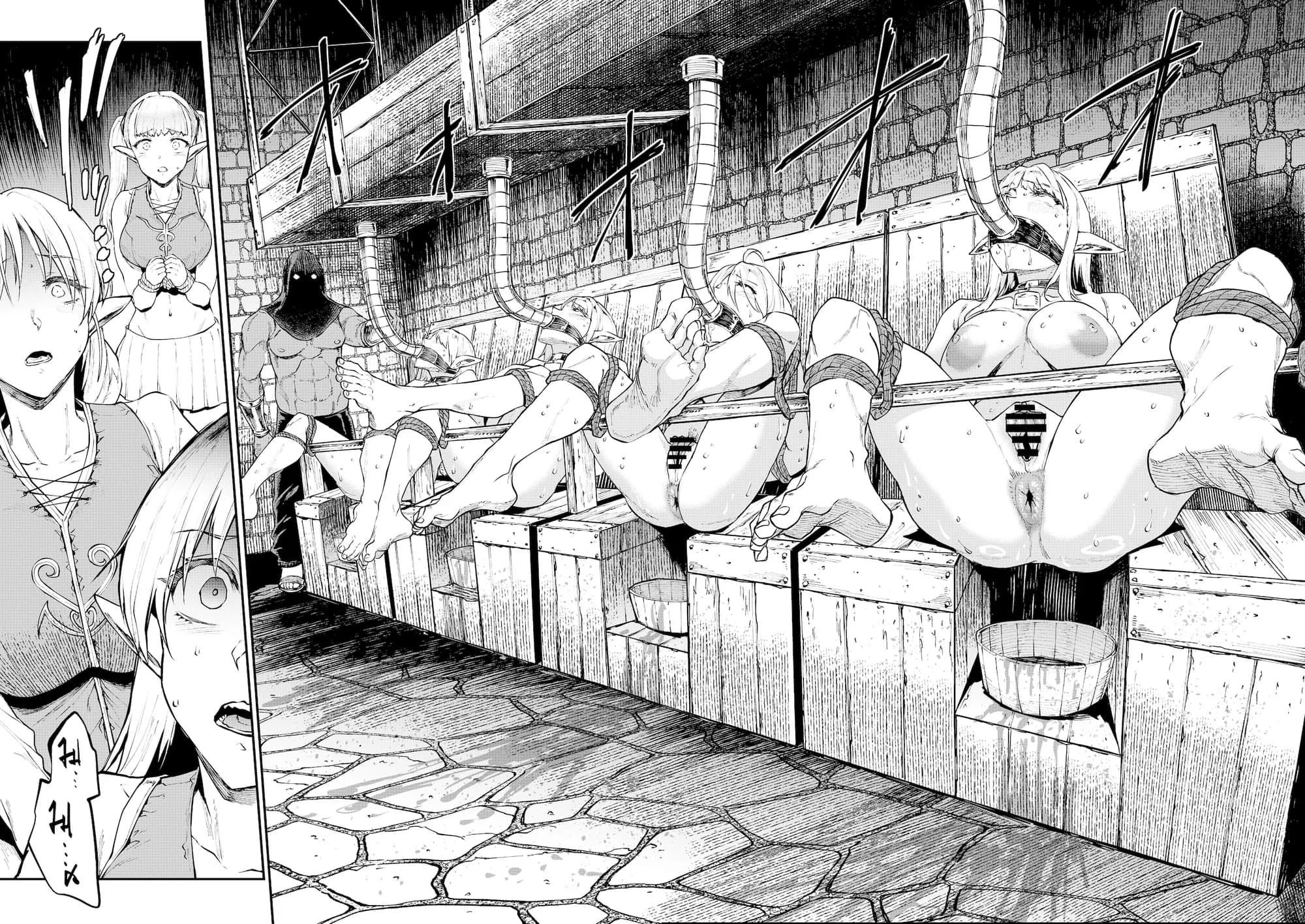 ELVEN BIRTH - 11ページ