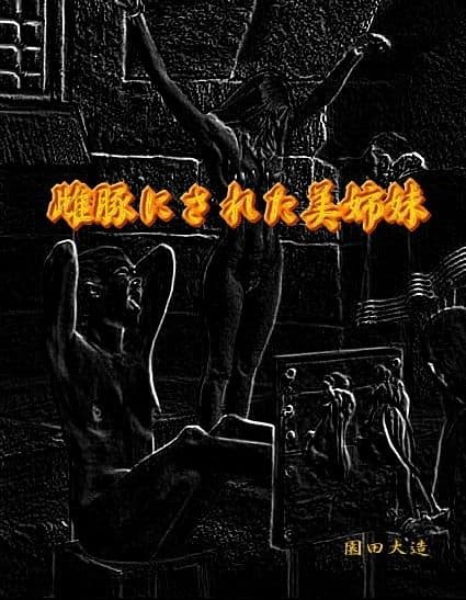 雌豚にされた美姉妹 サンプル画像 1