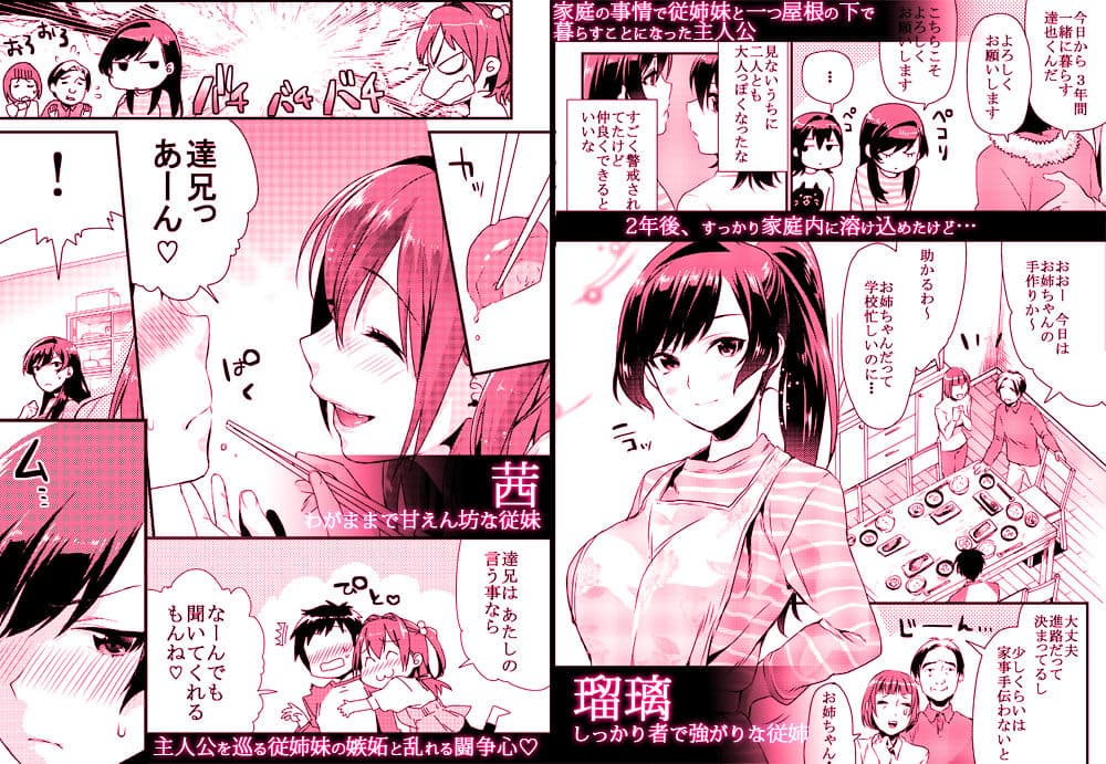 姉君妹君総集編 サンプル画像 2