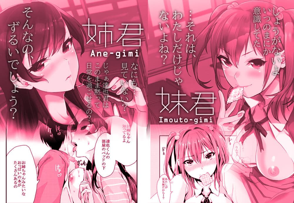 姉君妹君総集編 サンプル画像 3