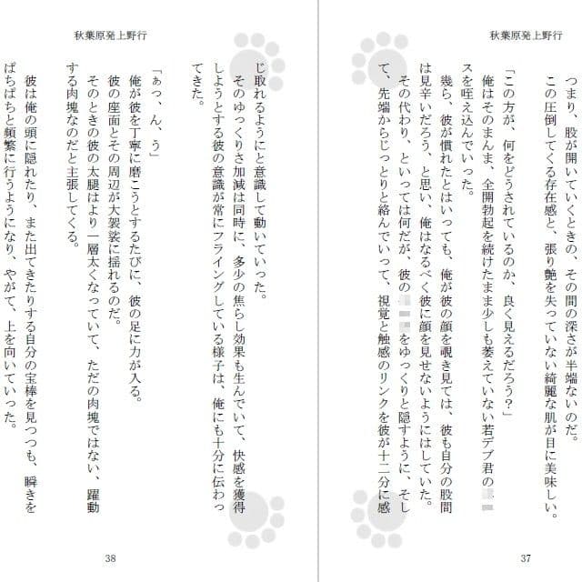 秋葉原発上野行 サンプル画像 1