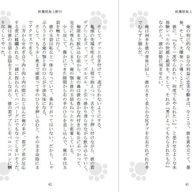 秋葉原発上野行 サンプル画像 2