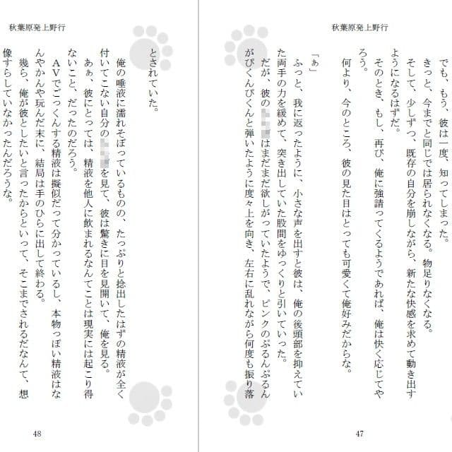 秋葉原発上野行 サンプル画像 3