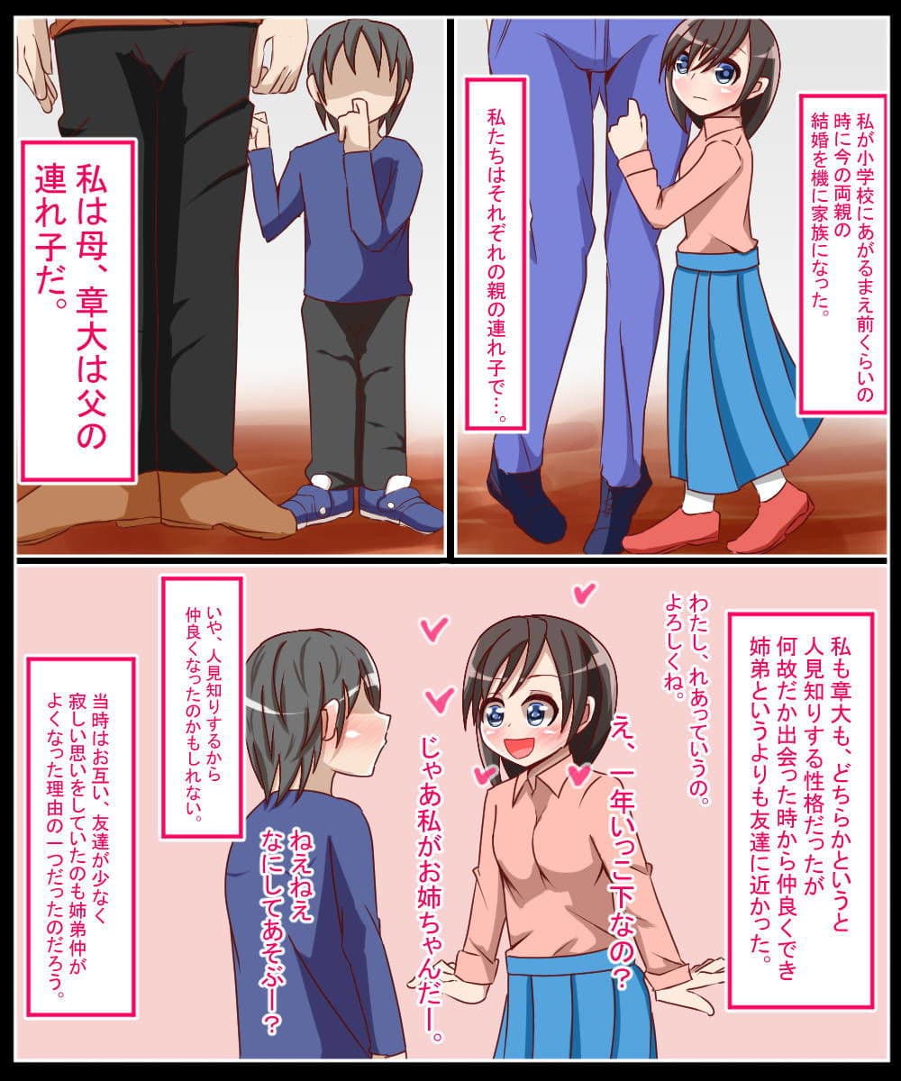 夏に寝取られた姉 サンプル画像 3