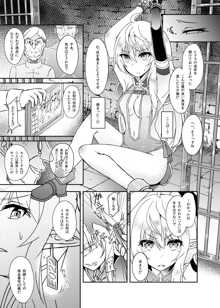 逃亡ELF サンプル画像 1