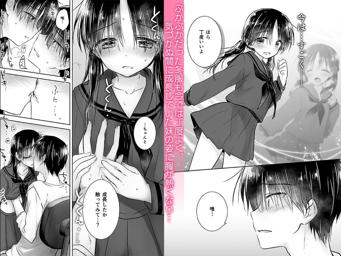 おきがえせっくす サンプル画像 2