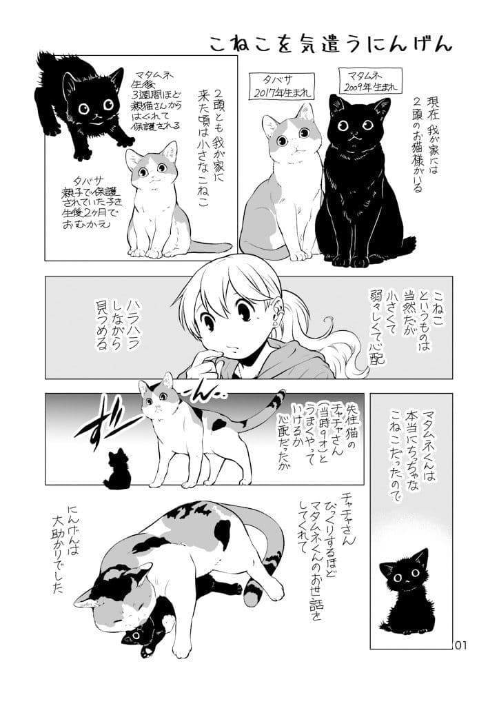 ねこと暮らすにんげん サンプル画像 1