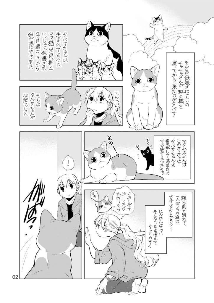 ねこと暮らすにんげん サンプル画像 2