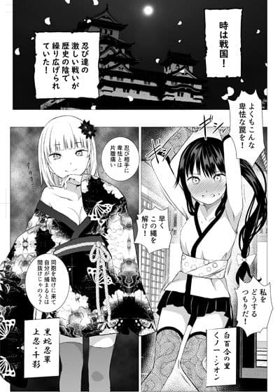 お忍び少女の遊び方 サンプル画像 1