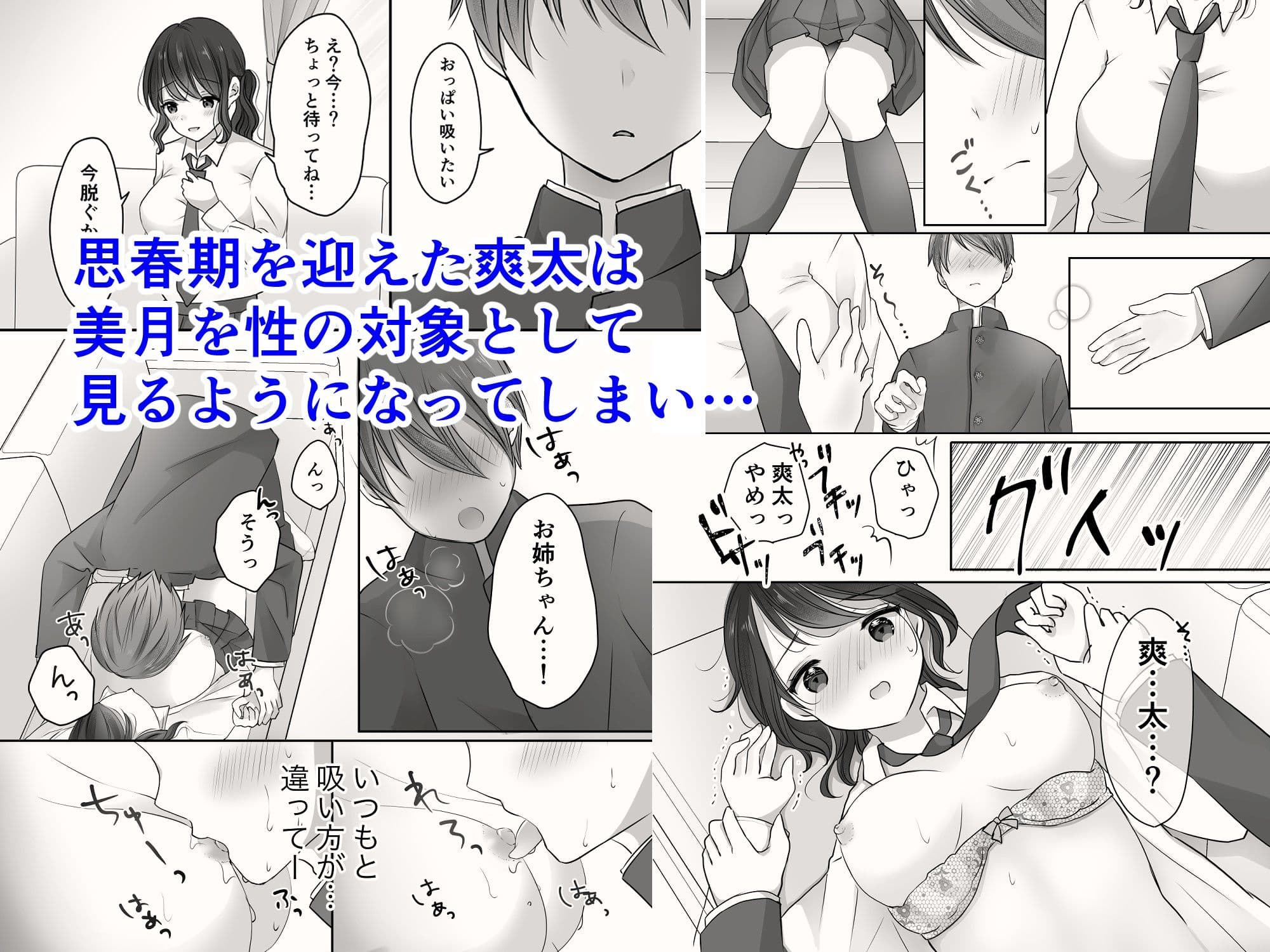 姉と弟のえっちなルーティーン サンプル画像 1