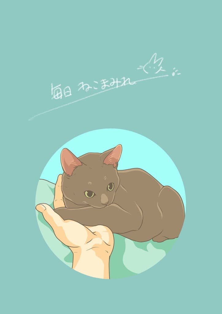 まいにちねこまみれ サンプル画像 1