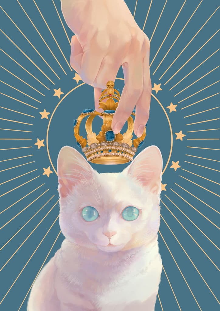 まいにちねこまみれ サンプル画像 2