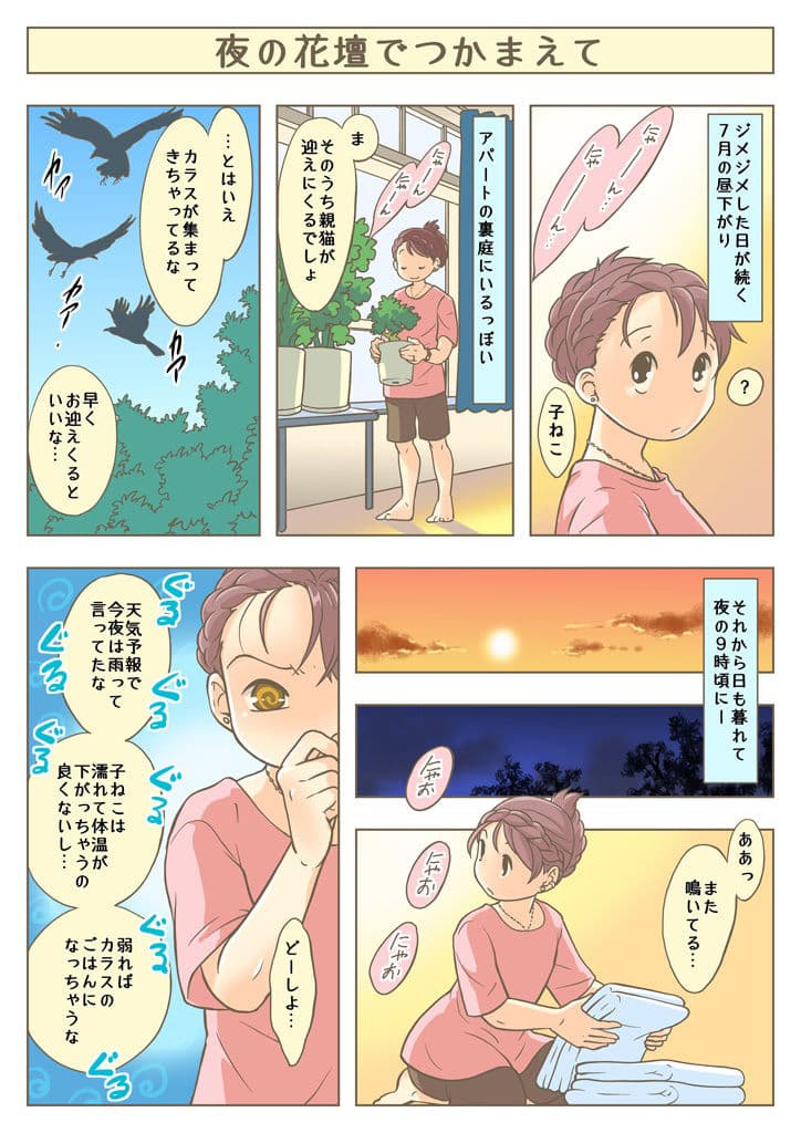 こねこをひろっただけなのに サンプル画像 1