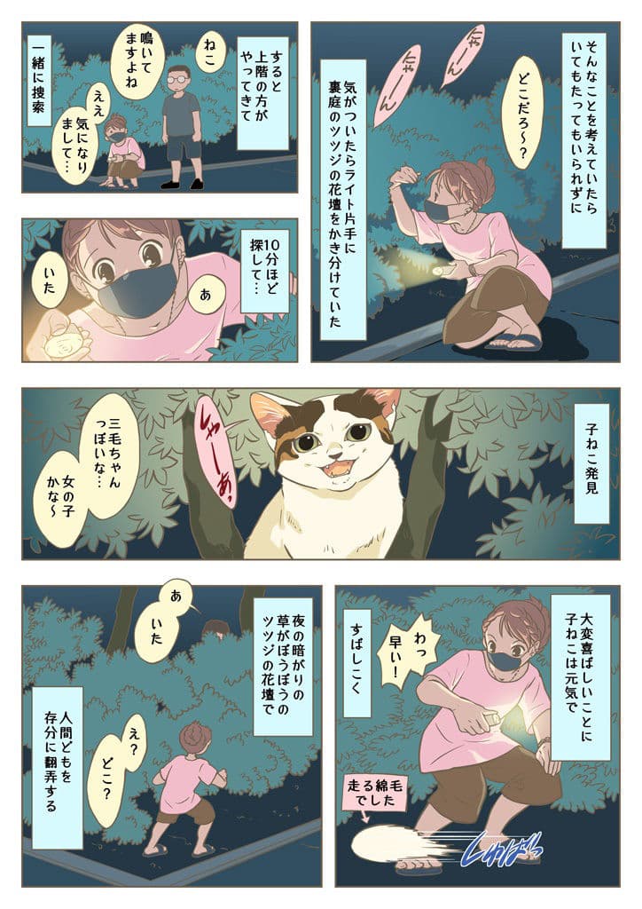 こねこをひろっただけなのに サンプル画像 2